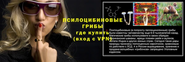 стафф Богородицк
