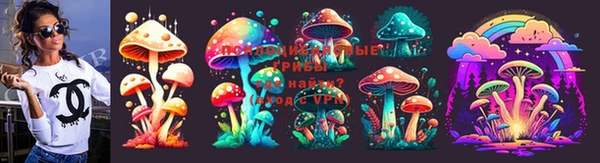 стафф Богородицк