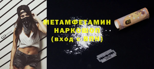 гидра Богданович