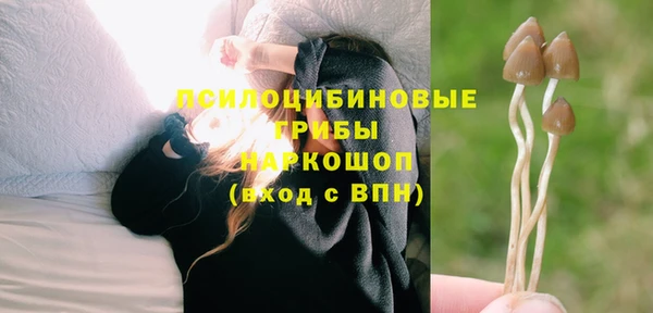 гидра Богданович