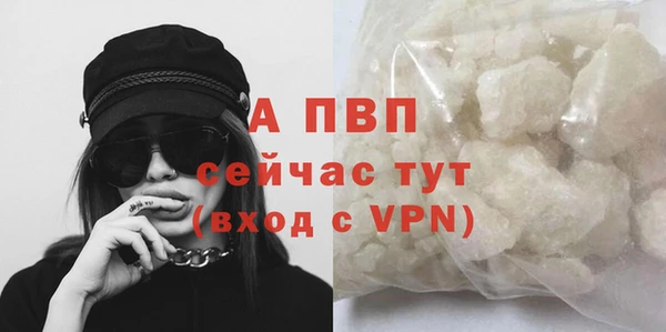 стаф Беломорск