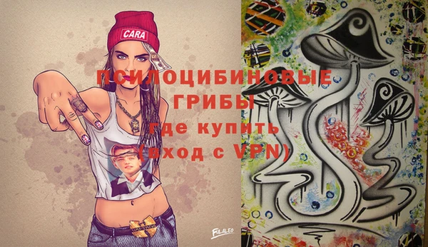 стаф Беломорск