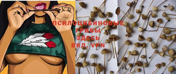 стаф Беломорск