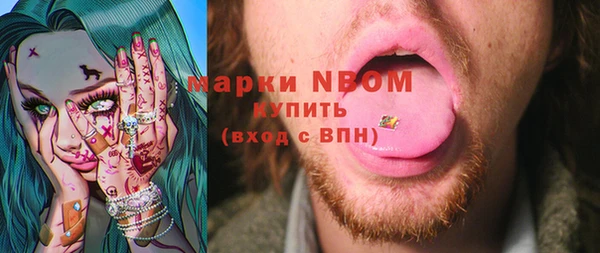 гидра Богданович