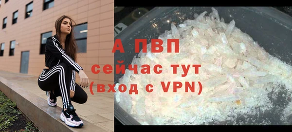 стафф Богородицк